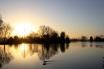 Mijn geliefde Amstel maandagochtend 3 februari 2014