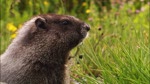 in Dé Natuur! :>)) en :>XXXXXXXXXX*.